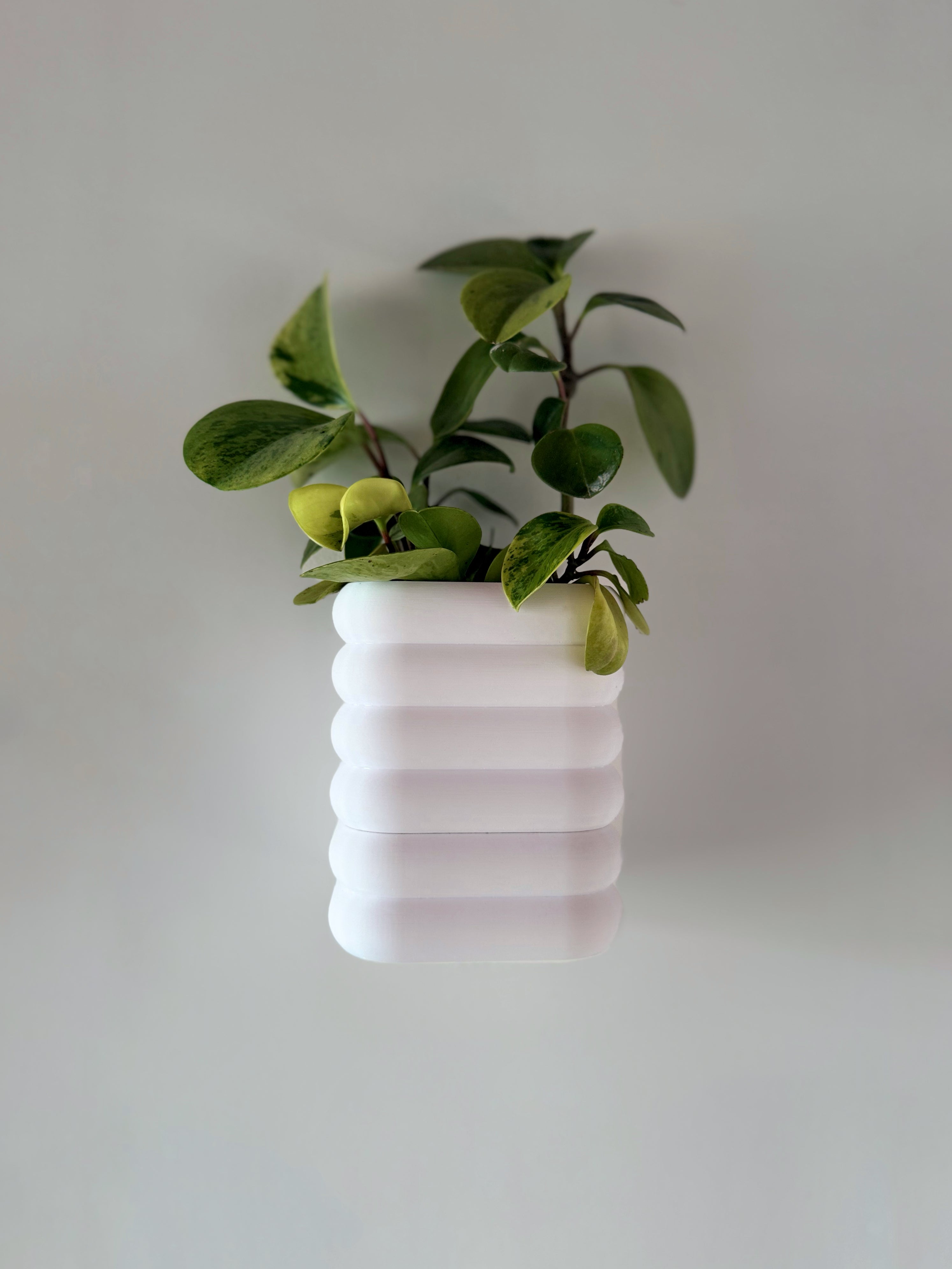 MagPlanter | Versatile Mountable Planters