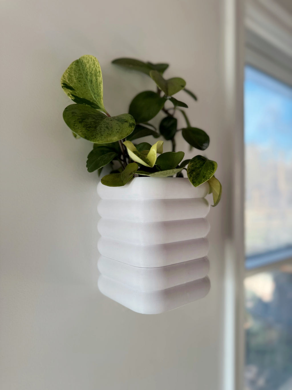 MagPlanter | Versatile Mountable Planters