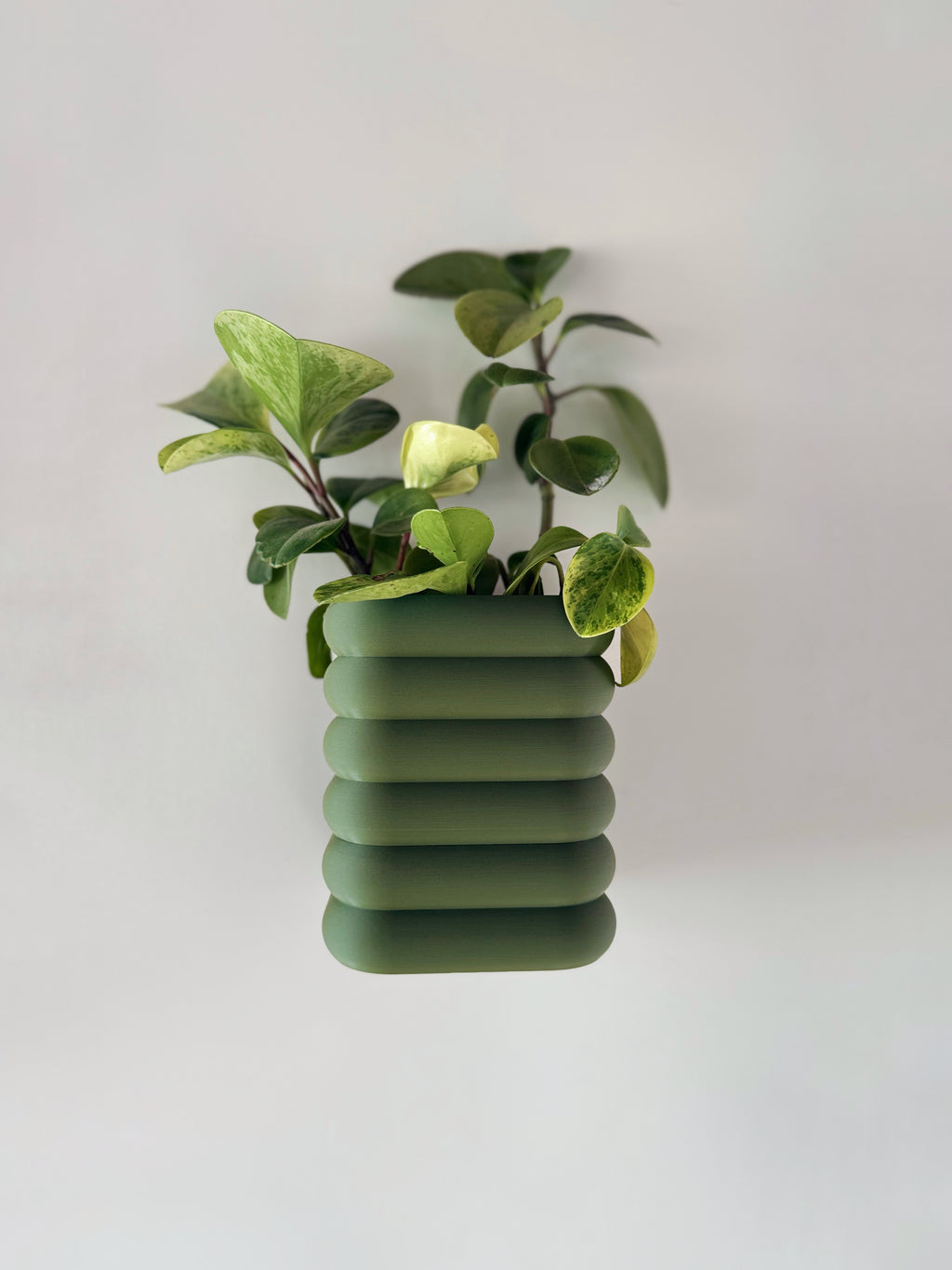 MagPlanter | Versatile Mountable Planters